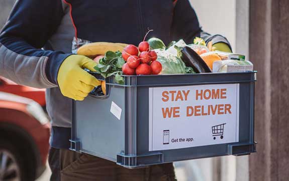 Grocery Delivery Web Development